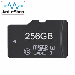 Карта Micro SD 256мб 760020008 - фото 1001
